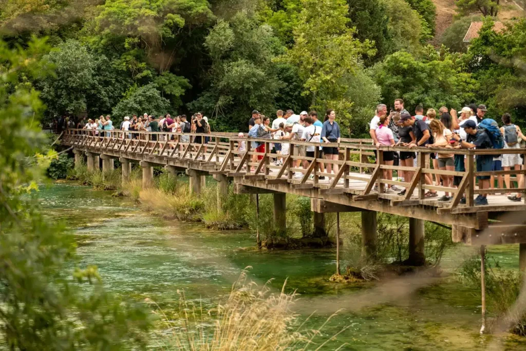 que faire après bts tourisme​