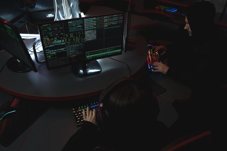 bac cybersecurite